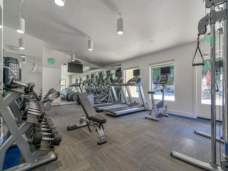 a gym with cardio machines and weights at the grove at camelback ridge apartments